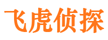 阜南市侦探调查公司